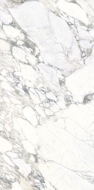 images/Ariostea/Arabescato-Statuario/Platten/Arabescato-Statuario-02.jpg