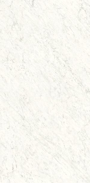 images/Ariostea/Bianco-Carrara-A/Platten/Bianco-Carrara-A-01.jpg