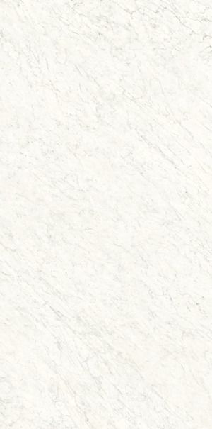 images/Ariostea/Bianco-Carrara-A/Platten/Bianco-Carrara-A-04.jpg