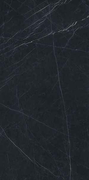 images/Ariostea/Nero-Marquinia-Ariostea/Platten/Nero-Marquinia-Ariostea-01.jpg