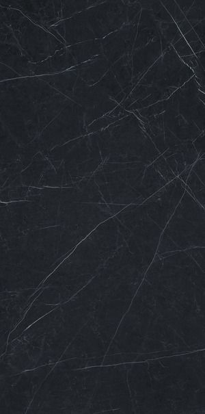 images/Ariostea/Nero-Marquinia-Ariostea/Platten/Nero-Marquinia-Ariostea-02.jpg